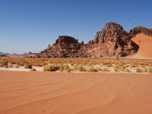 DSC_7500.jpg